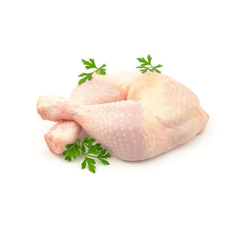 CUISSE DE POULET