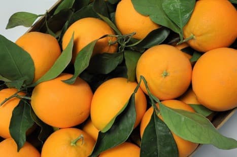 ORANGE FEUILLE